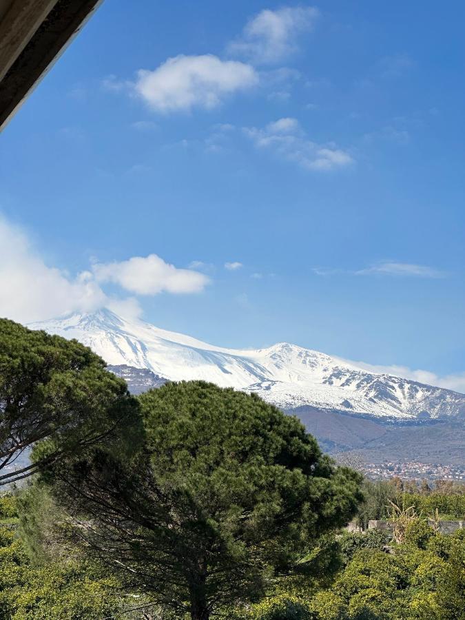 La Pigna Delle Aci Apartment Acireale Luaran gambar